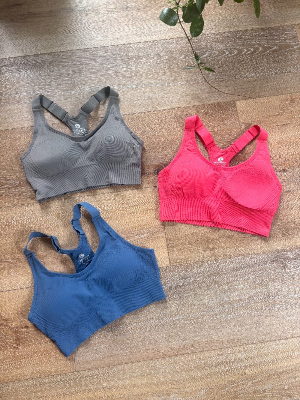 Evercute High Impact Sports Bras for Women 3 Pack (AMAZON)